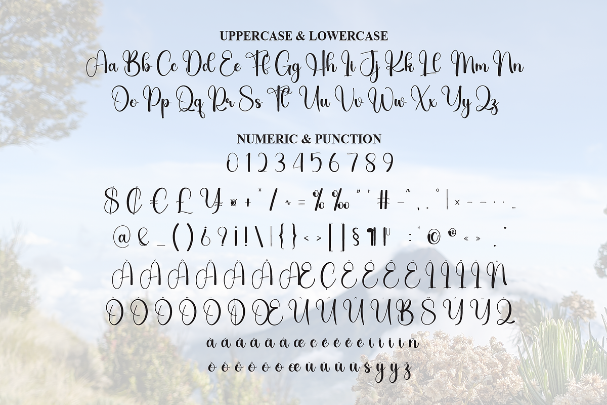 Mount | Script Font, a Handwritten Font by Scratchones (Photo 7 of 9)