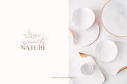 Botanical Line Art Illustrations V1, a Texture Illustration by Kaya Fonts (Thumbnail 9 of 9)
