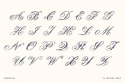 Ornate Victorian Drop Capitals, a Script Font by Century Library (Thumbnail 3 of 6)
