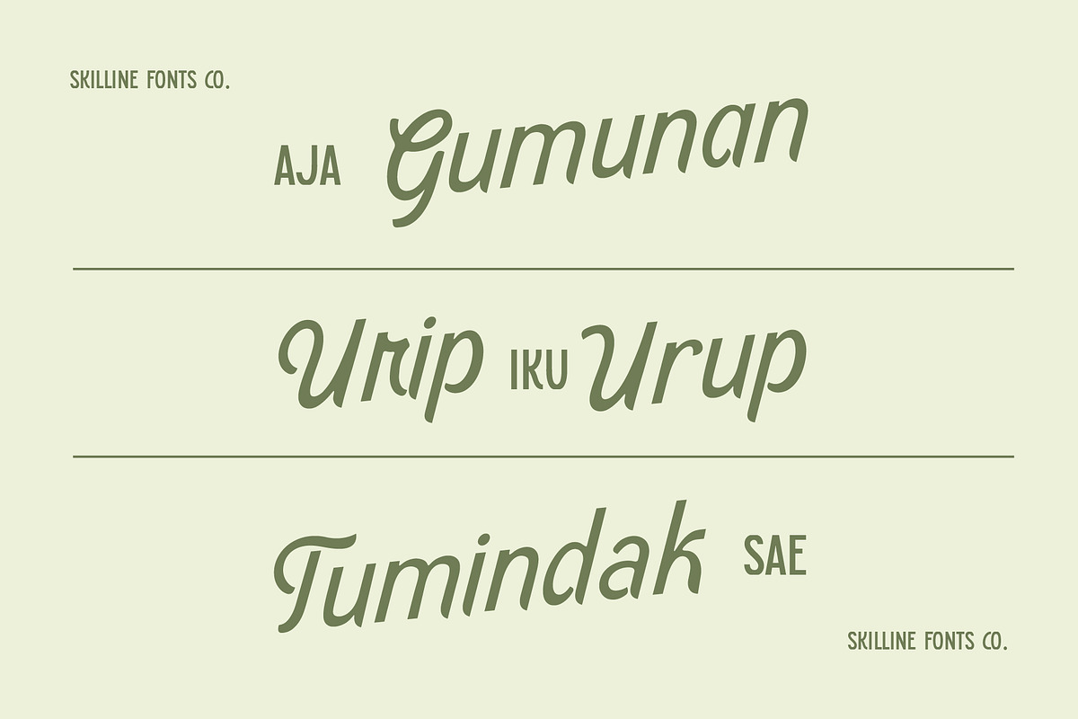 SFC Country Fairway, a Script Font by Skilline Supply Co. (Photo 6 of 11)
