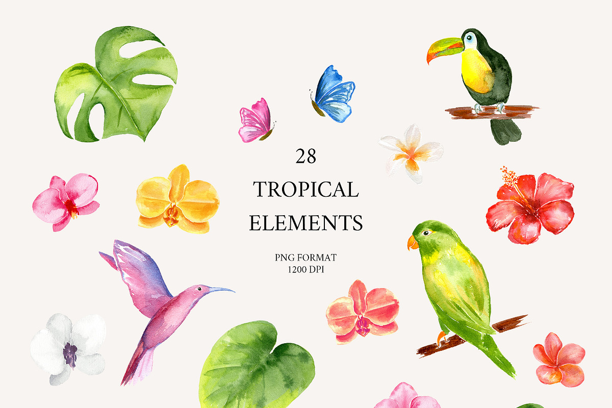 Tropical Elegance. Watercolors, a Decorative Illustration by Liliia Polos Illustration (Photo 10 of 12)