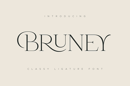 Bruney - Classy Ligature Font, a Serif Font by Sensatype