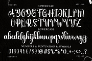 Script Smooth, a Handwritten Font by FreshTypeINK (Thumbnail 7 of 8)