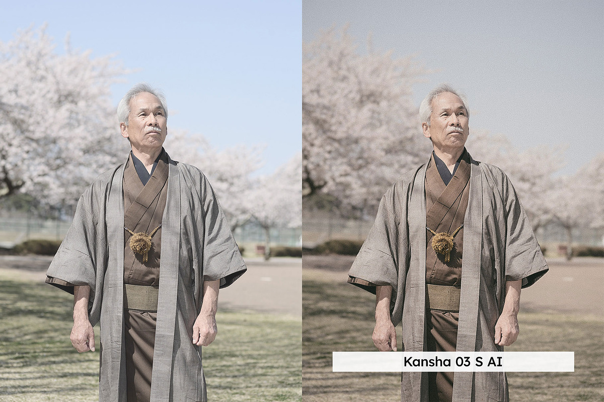 20 Analog Japan Lightroom Presets, a Preset Add-On by SparkleStock (Photo 6 of 13)