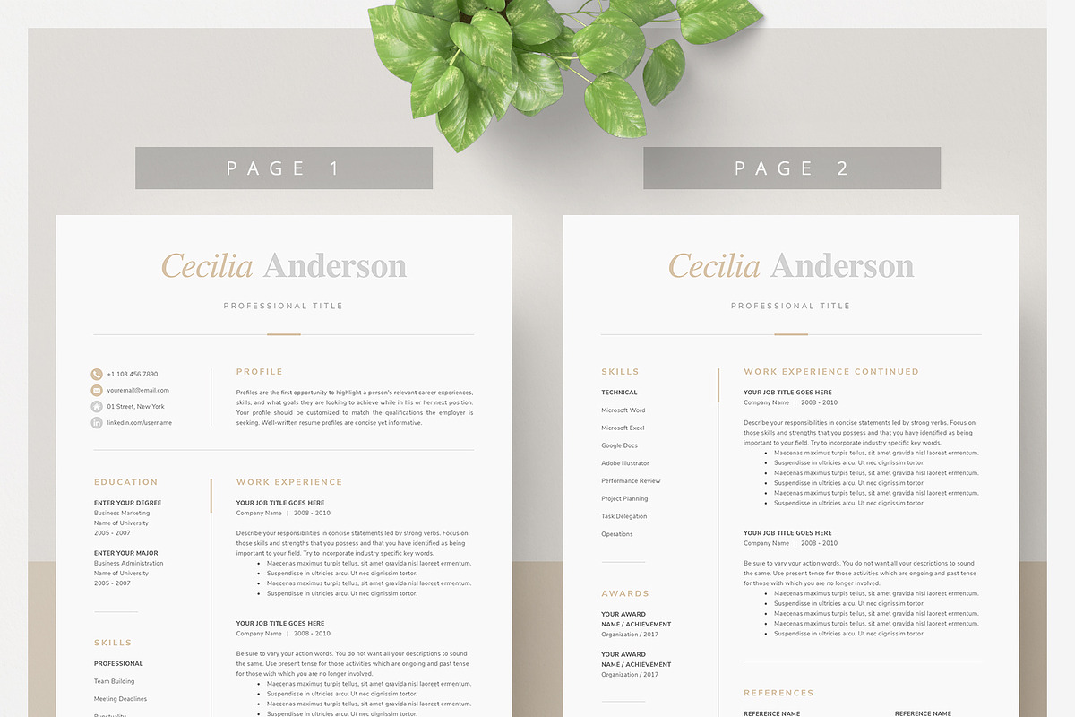Modern 2 Page Resume Template, a Resume Template by DemeDesign (Photo 2 of 5)