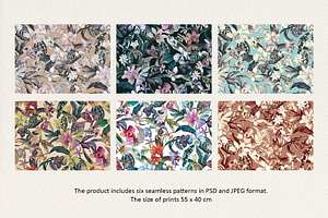 Bloomera. Seamless Patterns