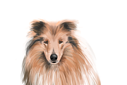 Dog Illustrations - Hand painted, an Animal Illustration by Papaya (Thumbnail 4 of 7)
