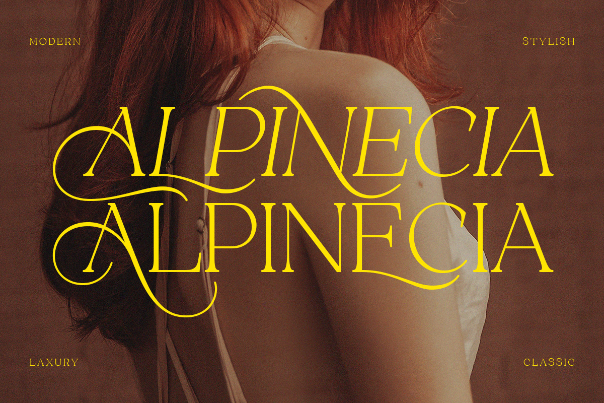 Alpinecia, a Serif Font by Pista Mova (Photo 6 of 19)