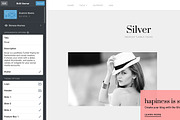 Silver Tumblr Theme, a Websites & App Template by Themelantic (Thumbnail 5 of 5)