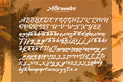 Mickstone Crush / tons of alternates, a Script Font by Java pep (Thumbnail 11 of 11)