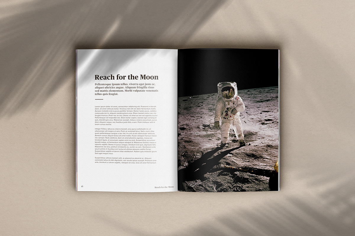 Book & Magazine Mockup Kit, a Books & Magazine Mockup by Lifestyle Project (Photo 8 of 17)