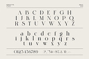 Birahi Stylish Serif Font, a Serif Font by Perfectype (Thumbnail 6 of 8)