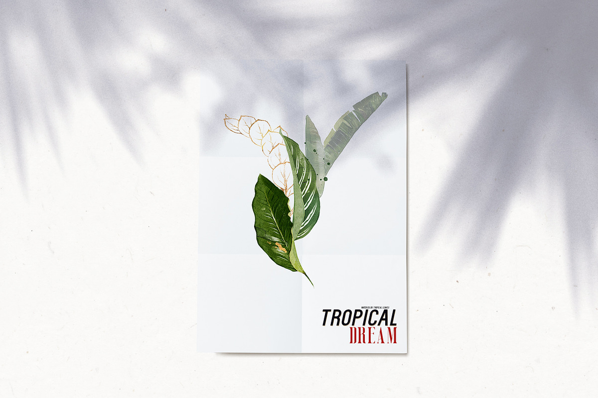 Watercolor Tropical Leaves, a Decorative Illustration by Damian Roh (Photo 5 of 19)