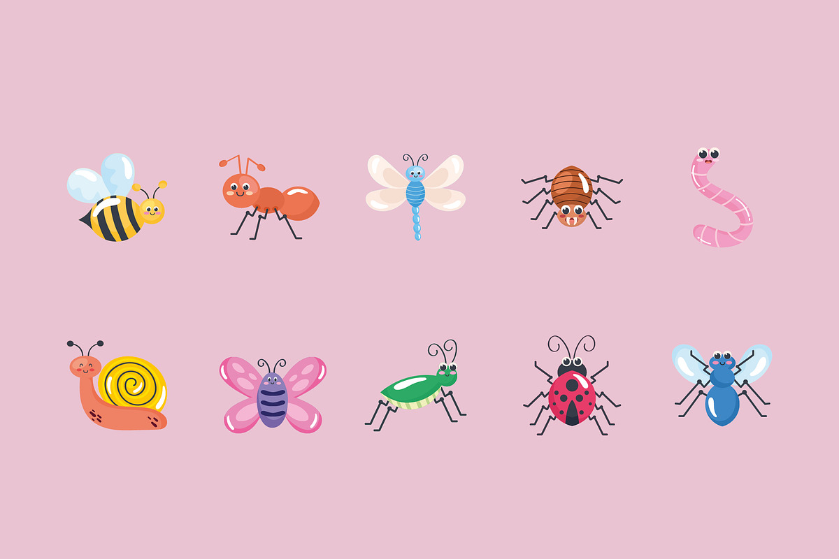 Cute Insects Illustration Set