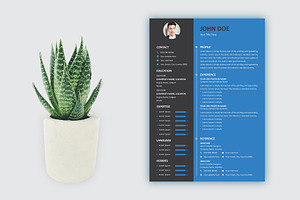 Minimal Resume Template Design