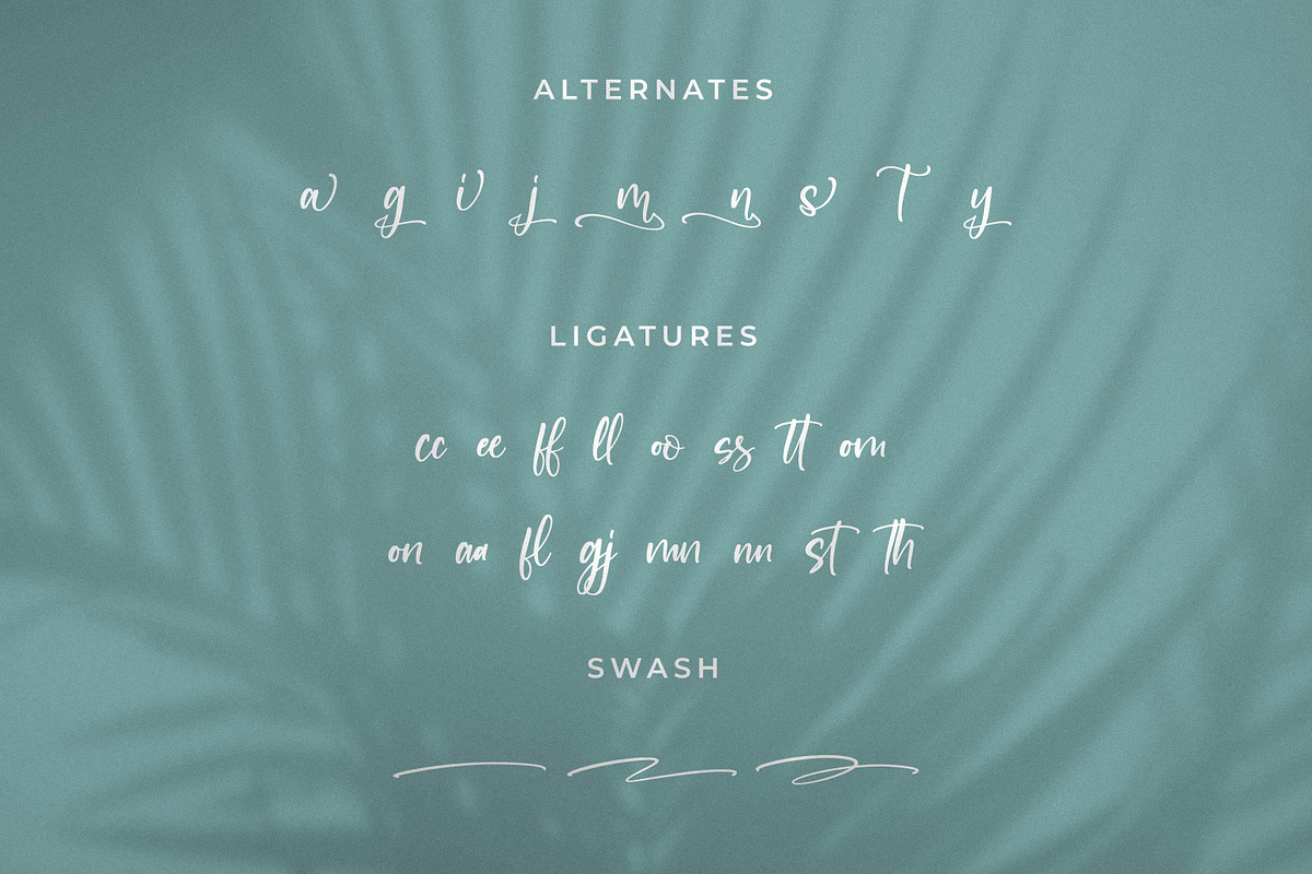 Newscript, a Script Font by Integritype Studio (Photo 10 of 14)