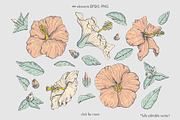 Hibiscus Line Drawing Floral Pattern, a Pattern Graphic by Rose Design (Thumbnail 11 of 12)