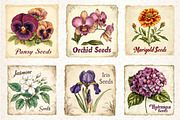 Vintage Flowers Clipart Seed Packet, an Illustration by Dream Creation (Thumbnail 4 of 6)