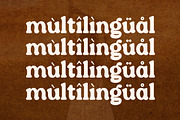 Qairen Modern Retro Serif Font, a Serif Font by Storytype Studio (Thumbnail 12 of 15)
