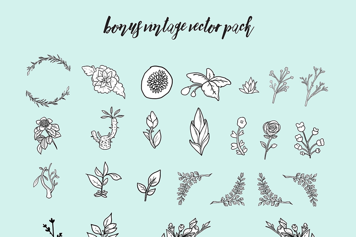 Adele 6 Fonts (70% off) preview 6