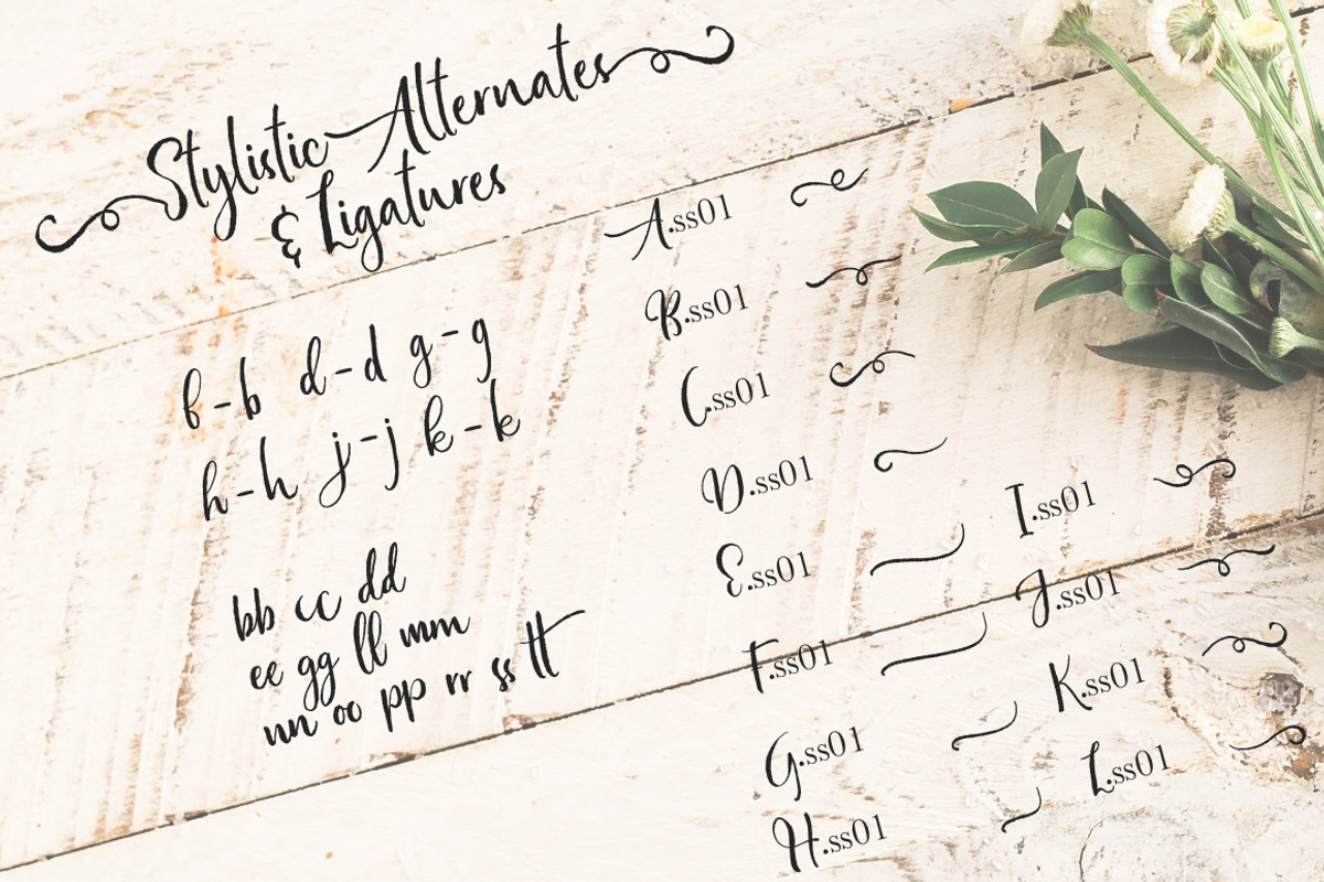 Bottomland • Ink Script preview 7