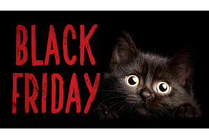 An adorable and surprised Black Cat, an Object Illustration by Lukas Jonaitis SHOP