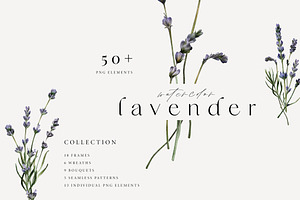 Lavender watercolor collection