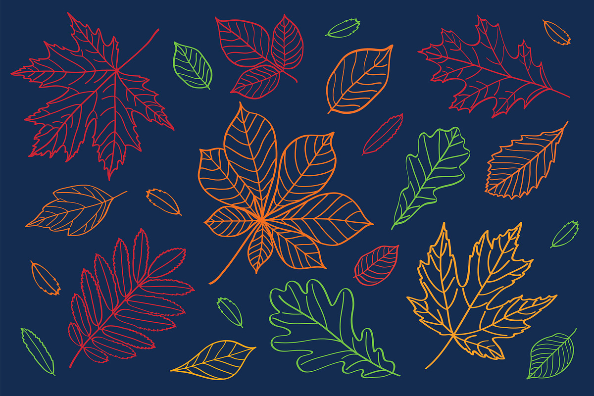 Hand drawn leaves of different trees, a Decorative Illustration by Tkoko vectors & patterns (Photo 11 of 14)
