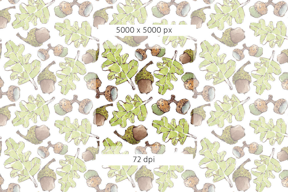 Acorns & Leaves Watercolor Patterns, a Pattern Graphic by Mazheika Store (Photo 9 of 9)
