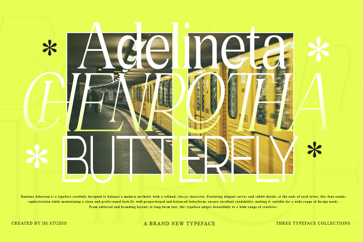 Bentona Athiroen (27 Fonts Style), a Serif Font by IM Studio (Photo 10 of 11)