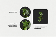 250+ Elements - Collage Creator Pack, an Object Graphic by Digi Life (Thumbnail 7 of 32)