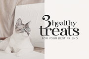 Magic Makers | Modern Serif Font, a Serif Font by KA Designs (Thumbnail 11 of 11)
