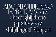 MIT Exileon - Script&Serif font duo, a Serif Font by Maculinc Type (Thumbnail 15 of 16)