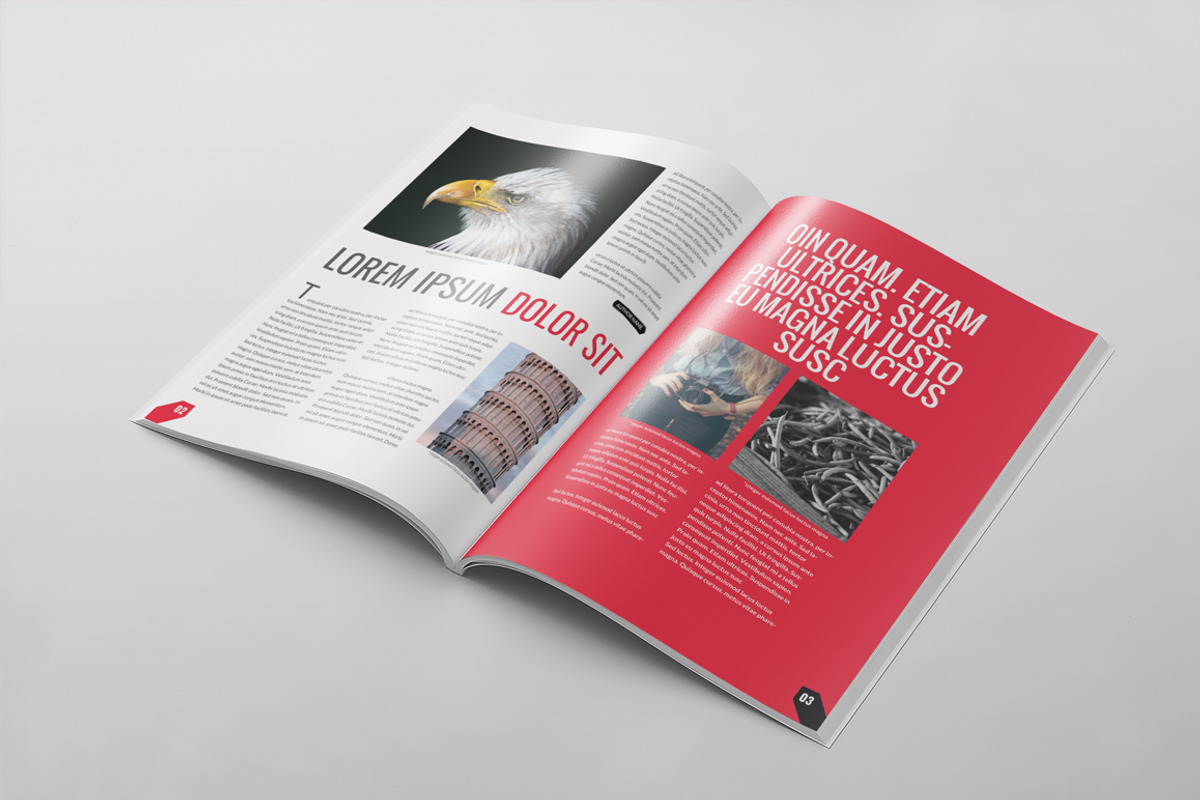 Magazine Template 49, a Magazine Template by pmvch (Photo 15 of 25)