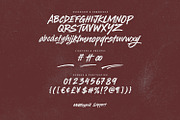 Themile Stuney Bold Expressive Brush, a Handwritten Font by Maulana Creative (Thumbnail 6 of 7)
