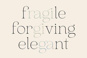 Aurelius - Feminine Chic Serif