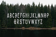 Forest Dreams, a Serif Font by Nomad Stockpile (Thumbnail 2 of 4)