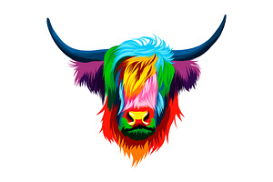 highland cow, scottish highland cow