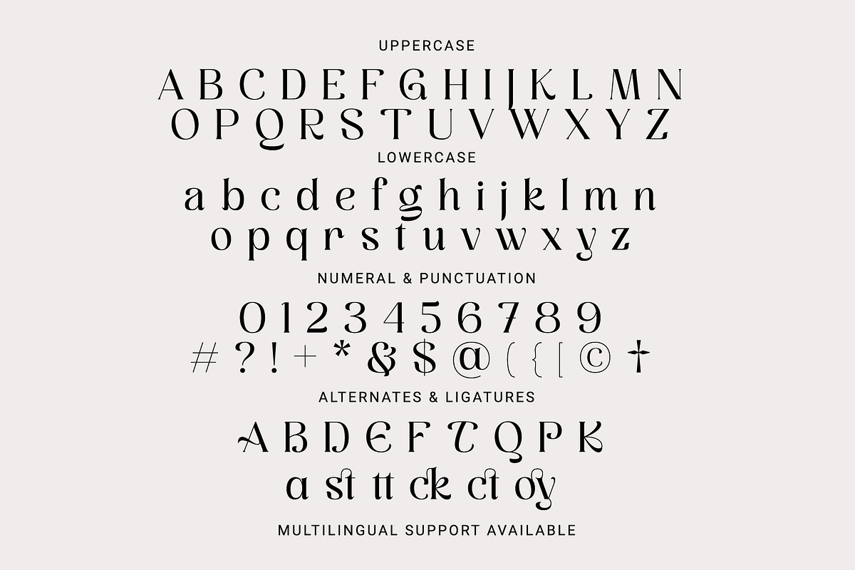 Employed - A Display Serif Font, a Serif Font by Prioritype Co (Photo 10 of 11)