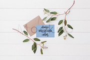 5x7 Invite Mockup - Eucalyptus 4, a Product Mockup by ILLONA GRAPHICS (Thumbnail 4 of 5)