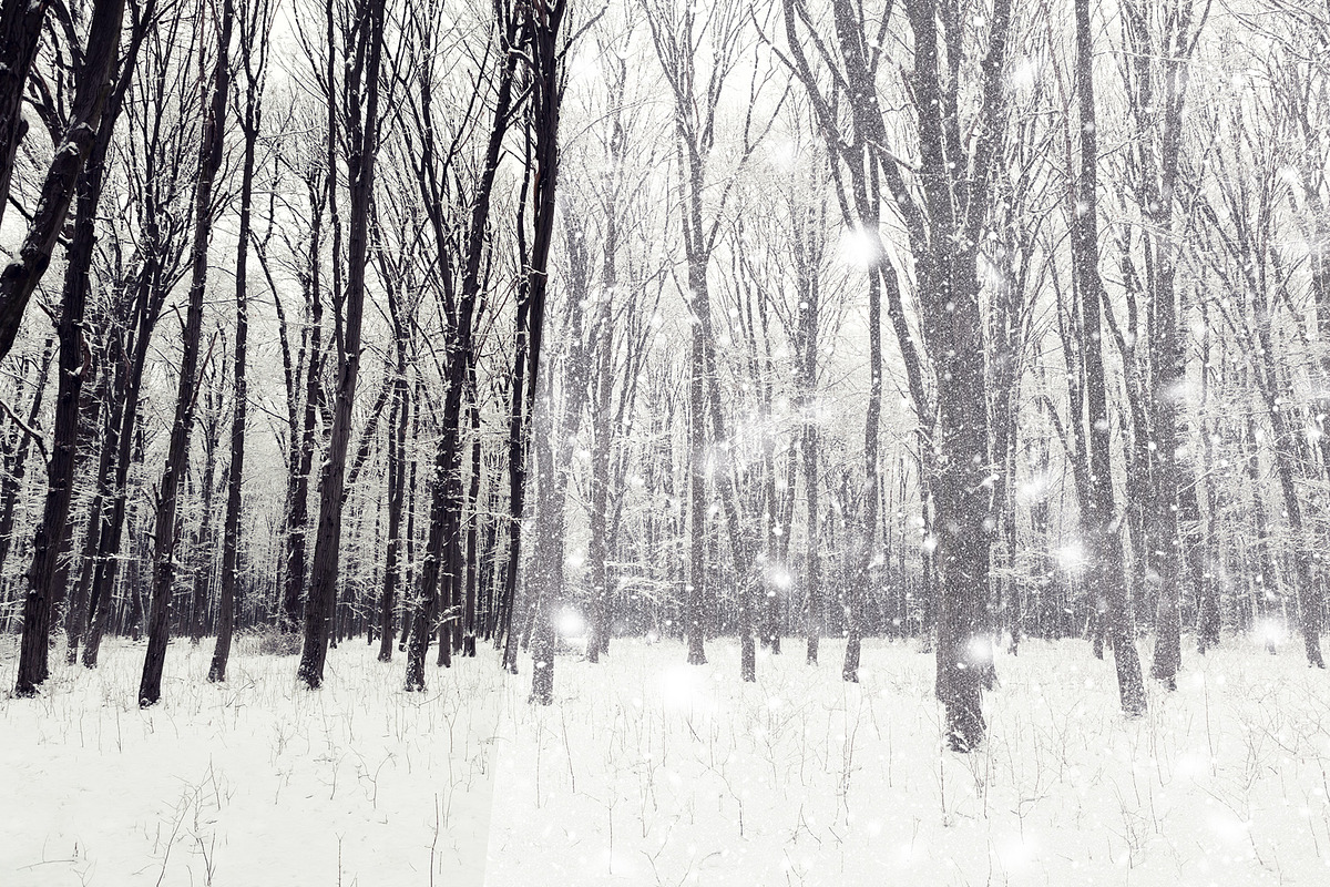 Real snow overlays for your photos, a Texture Graphic by RM_design (Photo 3 of 5)