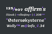 Hornbill; 18 Retro Fonts, a Serif Font by Eko Bimantara (Thumbnail 8 of 10)