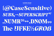 Gattino Spazio - Bold Serif Typeface, a Serif Font by Mbonster Design Studio (Thumbnail 14 of 20)