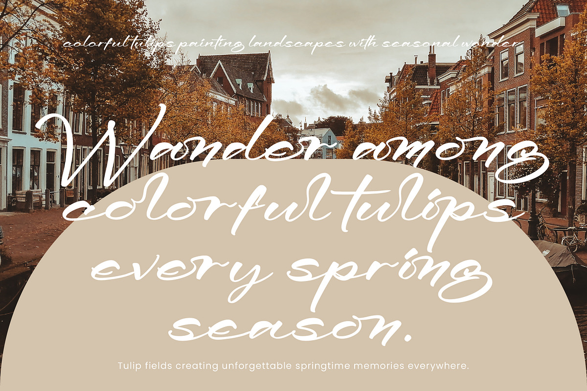 Sweet Allgore Modern Handwritten, a Handwritten Font by operatype.co (Photo 3 of 8)