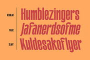 Galfego Condensed Sans Serif, a Sans Serif Font by Craft Supply Co. (Thumbnail 8 of 12)