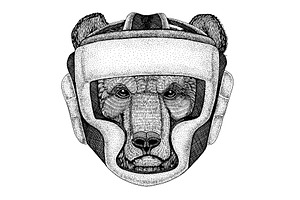 Brown bear. Russian bear. Boxer