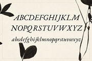 Hall Italic - Typeface, a Serif Font by Lilithcollageart (Thumbnail 9 of 10)