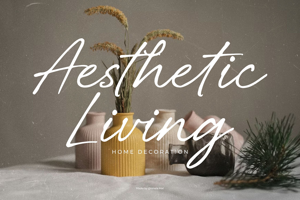 Belovina - Handwritten Script Font, a Handwritten Font by agnyhasyastudio (Photo 8 of 14)