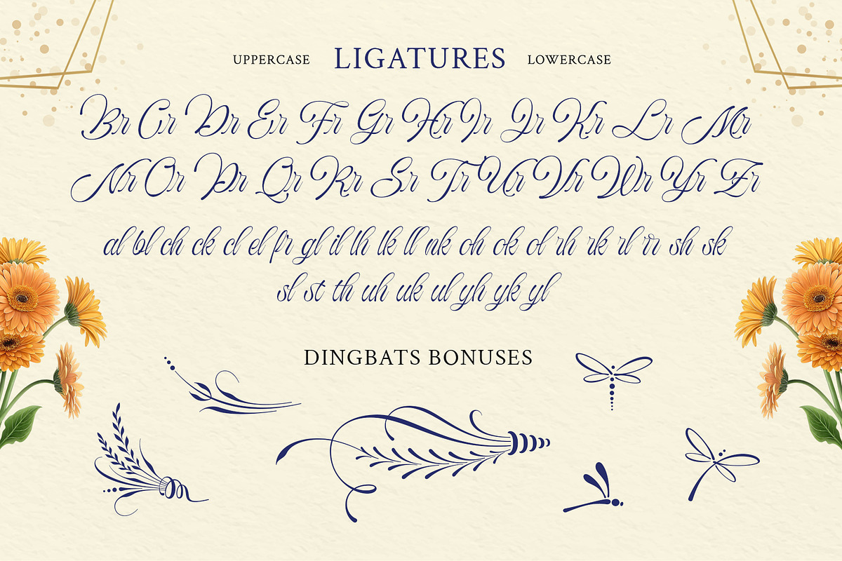 Bredlive Typeface, a Script Font by alit design (Photo 18 of 20)