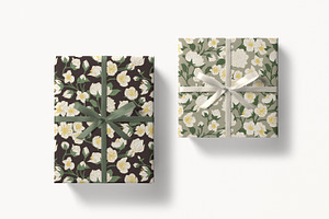 Jasmine Flowers Seamless Patterns